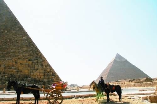 局势持续动荡影响埃及经济 开罗大学生:不满国