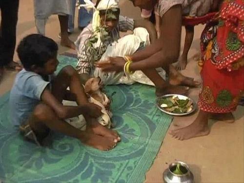 印度7岁男孩被迫娶狗为妻 全村人前来道贺(组图)