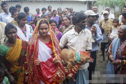 印度7岁男孩被迫娶狗为妻 全村人前来道贺(组图)