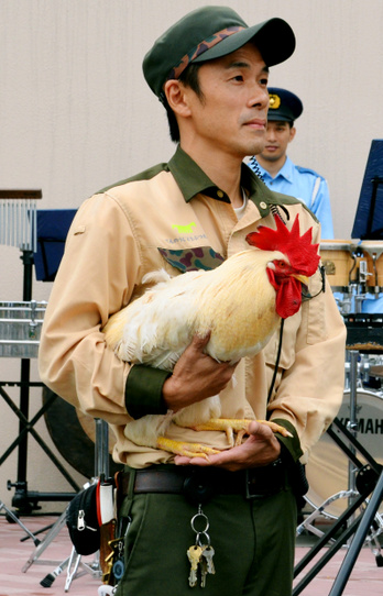 日本大阪警方任命一只“幸运鸡”为一日交警队长