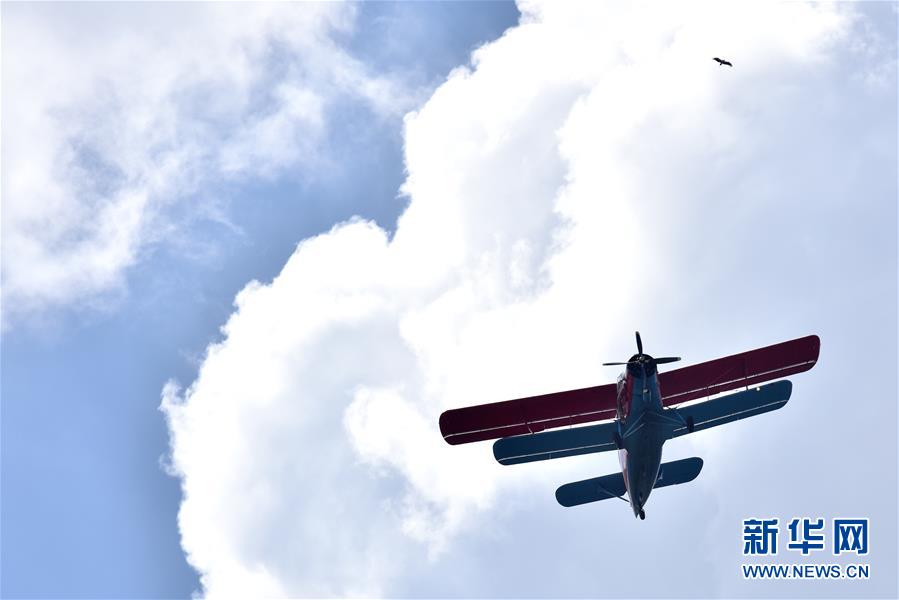 组图：肯尼亚内罗毕上演古董飞机飞行秀