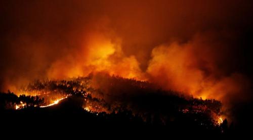 葡萄牙中部森林火灾已致57人死亡 火势未完全
