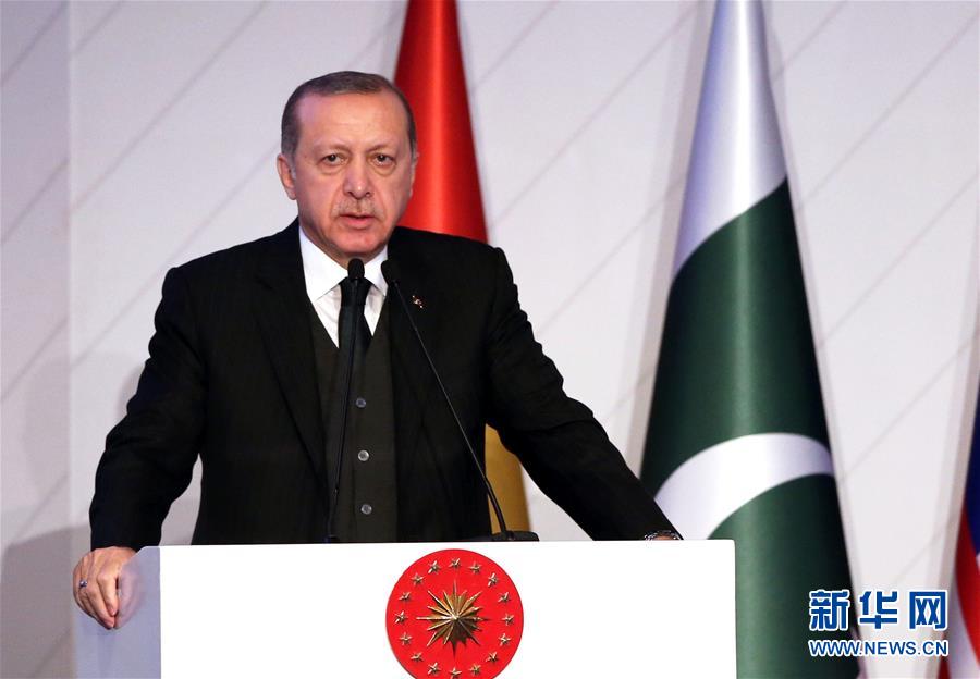 土耳其总统呼吁发展中国家八国集团在内部贸易