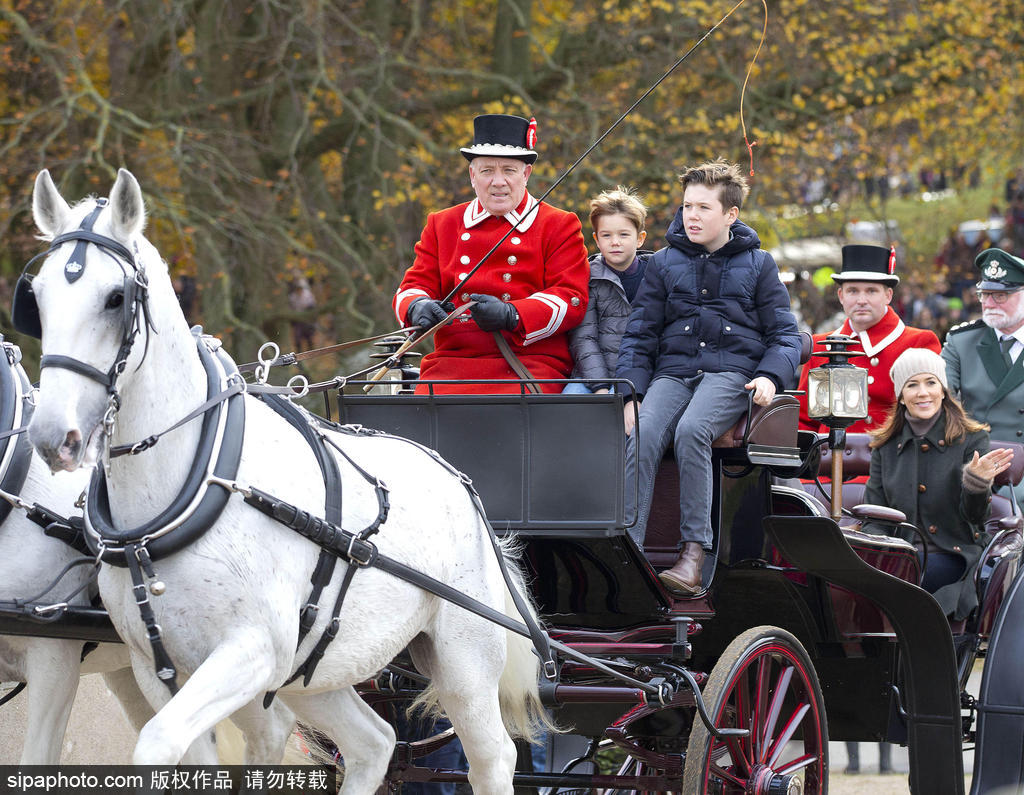 丹麦玛丽王储妃携儿女出席年度狩猎活动 公主