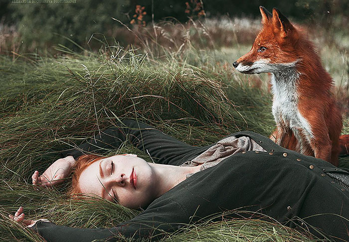 红发女孩抱狐狸的图片图片